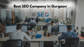 Best SEO Company in Gurgaon  (1).png