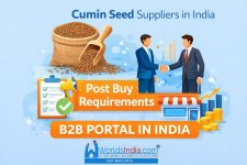 Cumin Seeds suppliers.jpg