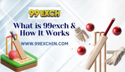 What is 99exch & How It Works.jpg