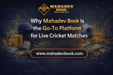 Why Mahadev Book Is the Go-To Platform for Live Cricket Matches.png