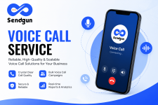 Voice call service.png