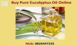 Eucalyptus oil 1 .jpg