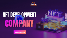 NFT Development - Bidbits.png