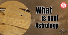 what is nadi astrology.png