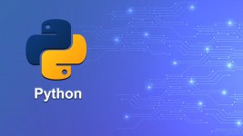 python.jpg