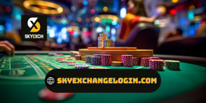 httpsskyexchangelogin.com.png