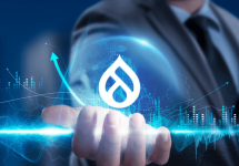 drupal development dubai.PNG