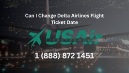 Delta Airlines .jpg