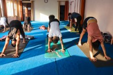 pexels-yogavidyamandiram-12264018.jpg