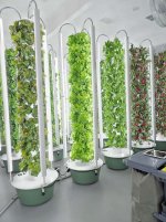 tower-garden-Indoor-Vertical-Farm.jpg tower-garden-Indoor-Vertical-Farm.jpg