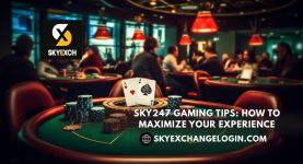 Sky247 Gaming Tips How to Maximize Your Experience.png