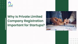 Why Is Private Limited Company Registration Important for Startups.jpg