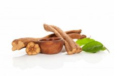 Ayahuasca-Tea-plant-for-sale.jpeg