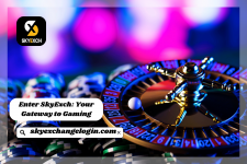 Enter SkyExch Your Gateway to Gaming.png