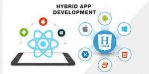 hybrid1download.jpeg