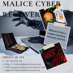 malice cr.jpg