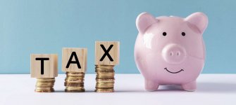 tax advisor for expats4.jpg