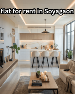 flat for rent in Soyagaon.png