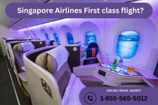 _Singapore Airlines First class flight.jpg