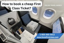 cheap First class flight.jpg