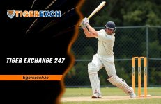Tiger Exchange 247.jpg
