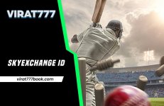 Sky Exchange ID.jpeg