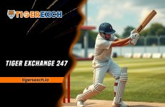 Tiger Exchange 247.jpg
