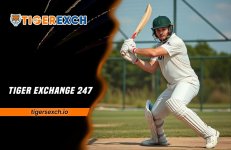 Tiger Exchange 247.jpg