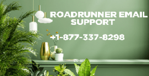 roadrunner2.png roadrunner2.png