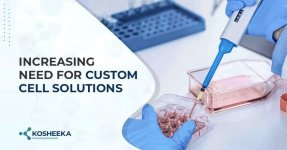 Custom Cell Solutions.jpg Custom Cell Solutions.jpg