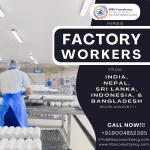 _Factory Workers Recruitment Services.png