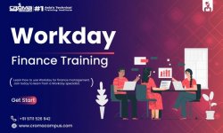 Workday Finance Training.jpg