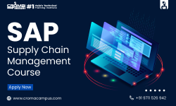 SAP SCM Course.png