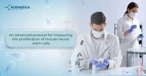 Untitled design (9).jpg