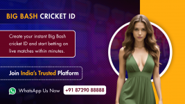 Ipl cricket id (1).png