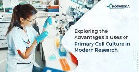 Primary Cell Culture.jpg