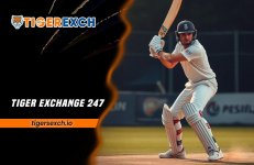 Tiger Exchange 247.jpg