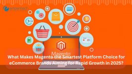 Purple Colorful Professional Illustrative Social Media Marketing Marketing Presentation (47).jpg