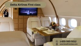 Delta Airlines First class.jpg