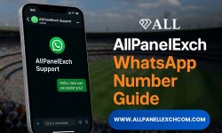 AllPanelExch WhatsApp Number Guide.jpg