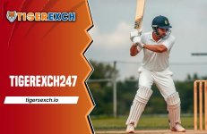 Tiger Exchange 247.jpg Tiger Exchange 247.jpg