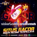 a5566131-1a6e-49b6-8a7e-195e7d0ca3e3.jpg a5566131-1a6e-49b6-8a7e-195e7d0ca3e3.jpg