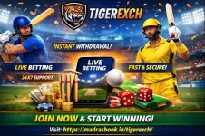 ChatGPT Image Dec 18, 2025, 09_36_29 PM.jpg