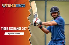 Tiger Exchange 247.jpeg