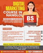 Digital Marketing Course in Nangloi (2).jpg