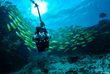 Screenshot 2025-12-23 121623.png