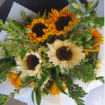 Screenshot 2026-01-23 000833.png