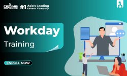 Workday-Training-01.jpg