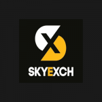 skyexch logo.png