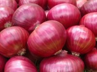 red onion.jpg